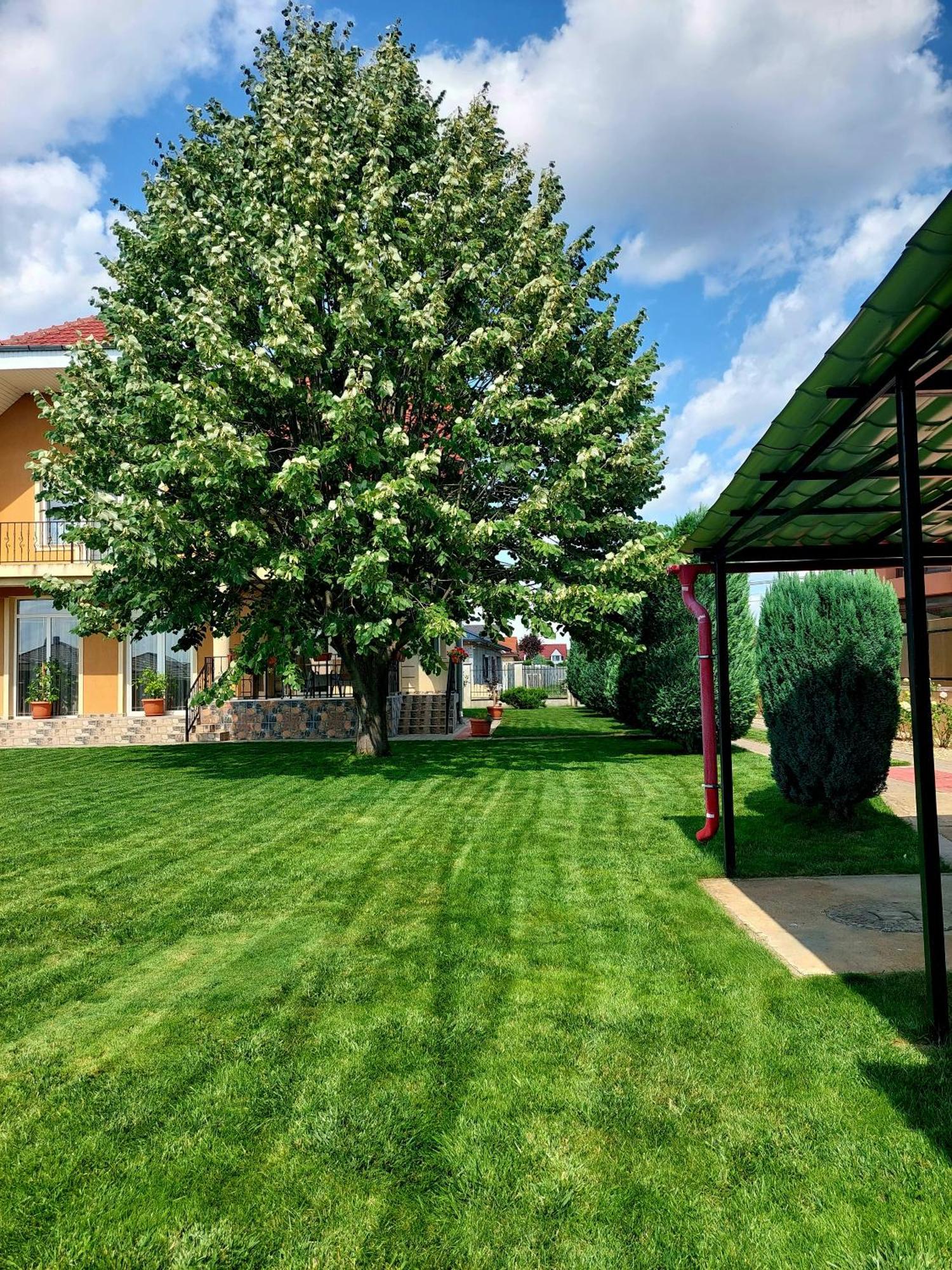 Villa Casuta Cu Tei Oradea Exterior foto